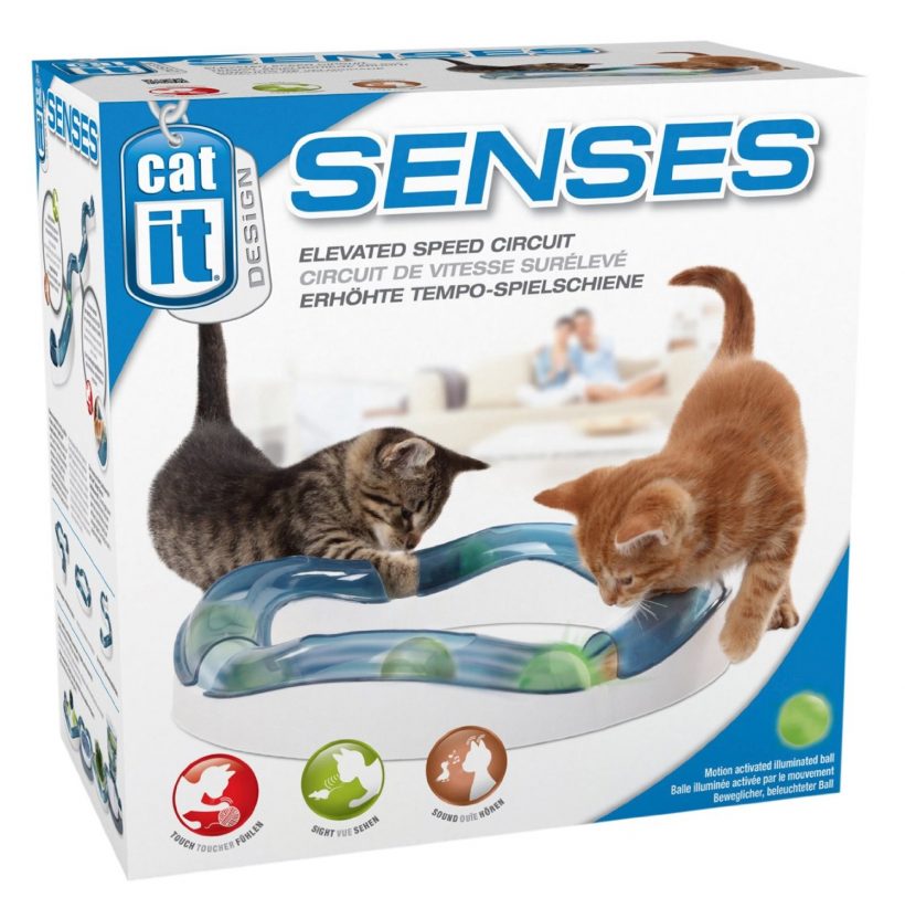 Catit senses circuit play