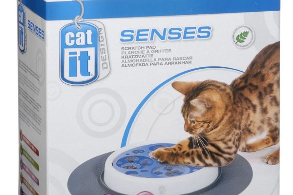 Scratch pad Catit senses