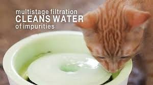 Fontaine Catit fresh and clear, confort d'utilisation