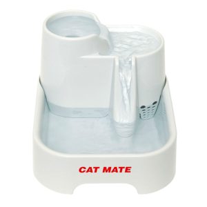 Fontaine cat mate